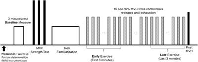 Functional Connectivity During Handgrip Motor Fatigue in Older Adults Is Obesity and Sex-Specific